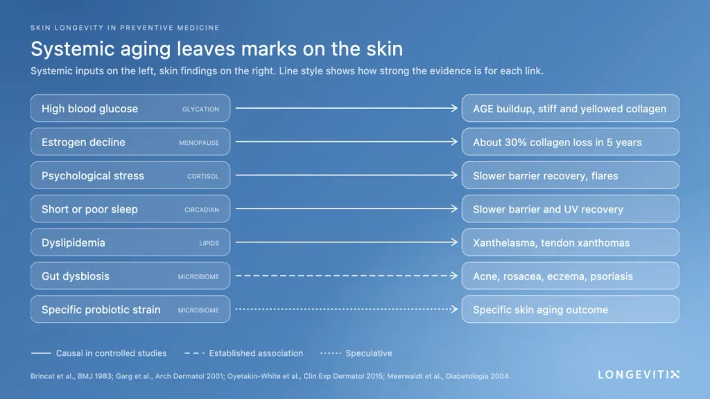 Systemic inputs and the skin findings they produce, by strength of evidence.